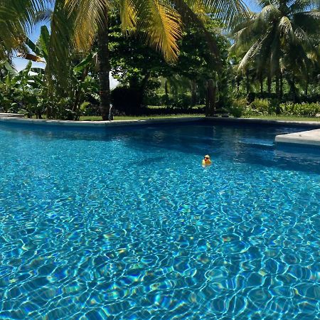 Sand Dollar Beach Bed & Breakfast Бокас дел Торо Екстериор снимка