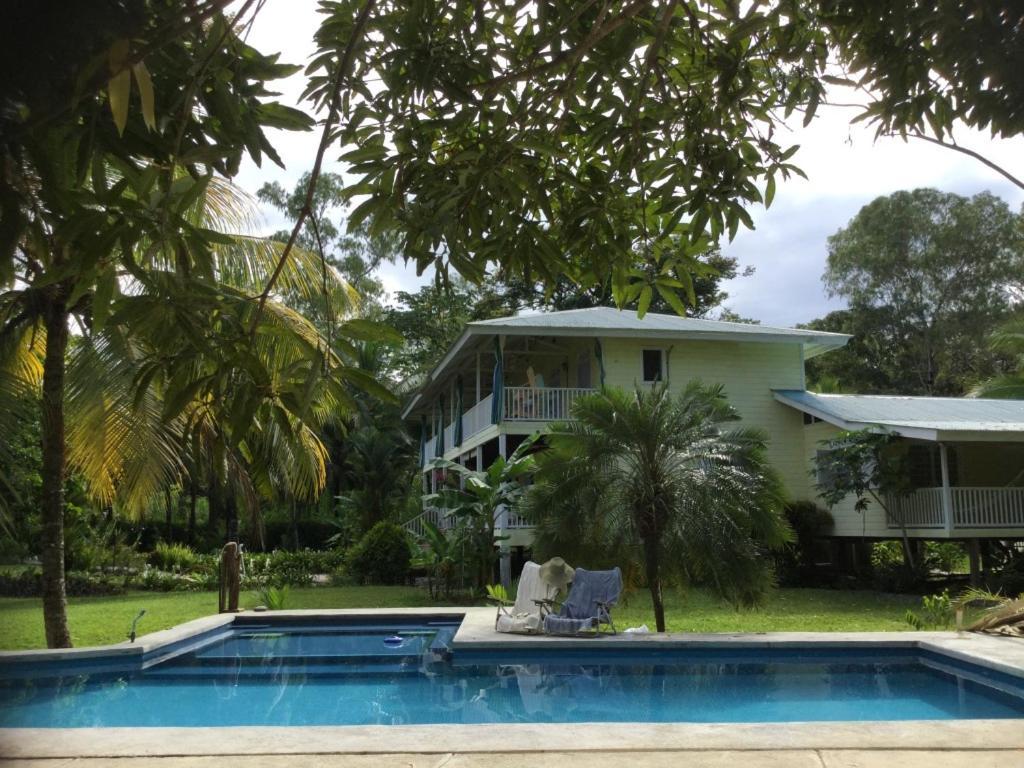 Sand Dollar Beach Bed & Breakfast Бокас дел Торо Екстериор снимка