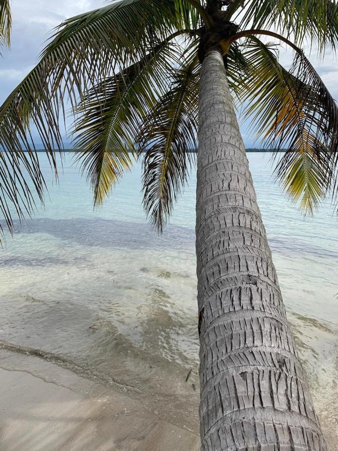 Sand Dollar Beach Bed & Breakfast Бокас дел Торо Екстериор снимка