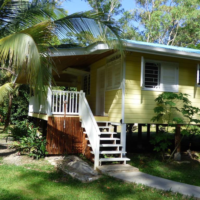 Sand Dollar Beach Bed & Breakfast Бокас дел Торо Стая снимка