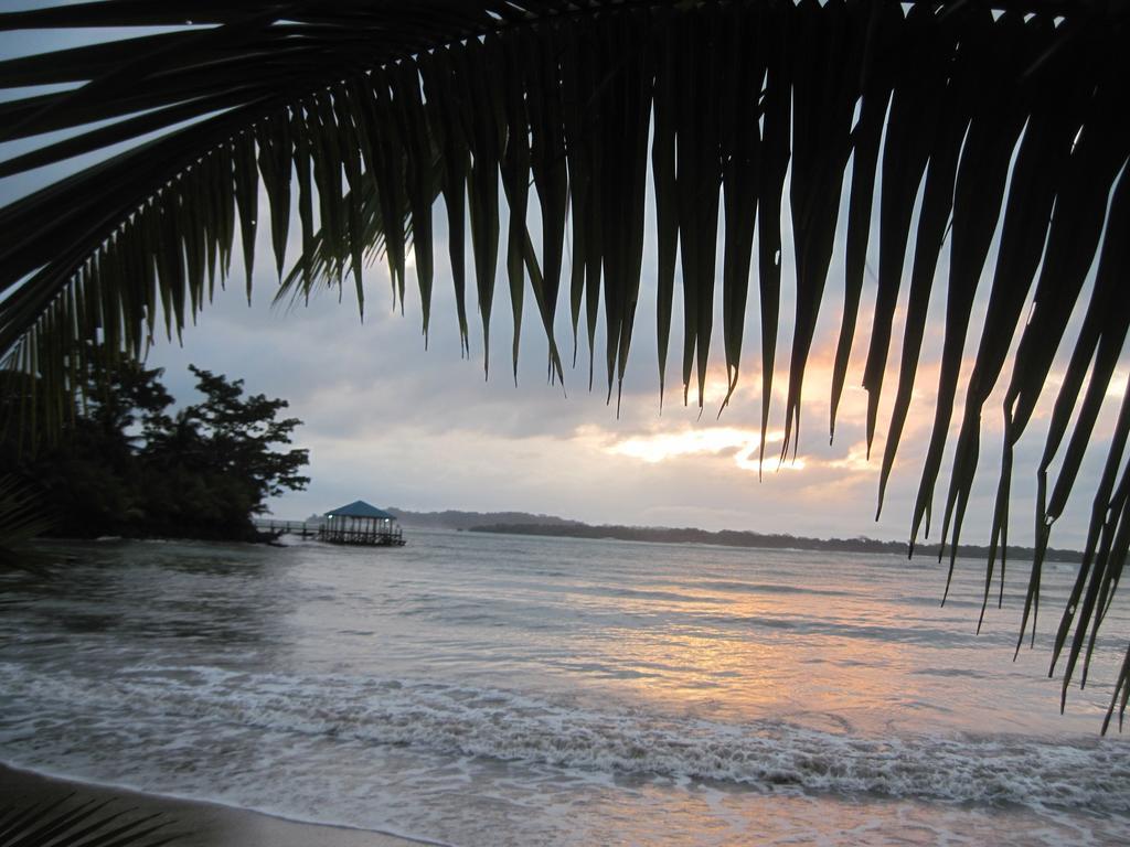 Sand Dollar Beach Bed & Breakfast Бокас дел Торо Екстериор снимка